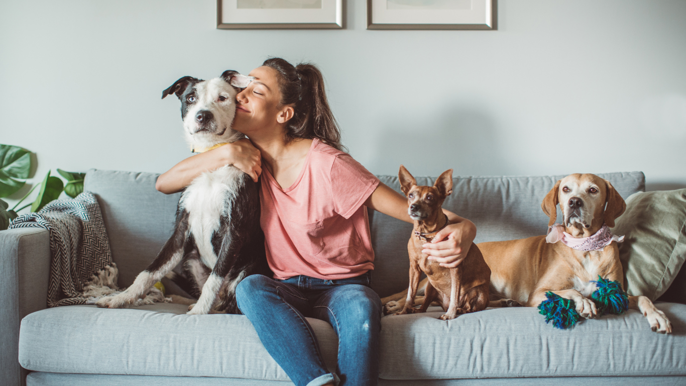 Assicurazione cane e gatto la tranquillità di avere sempre al tuo fianco un amico fidato.